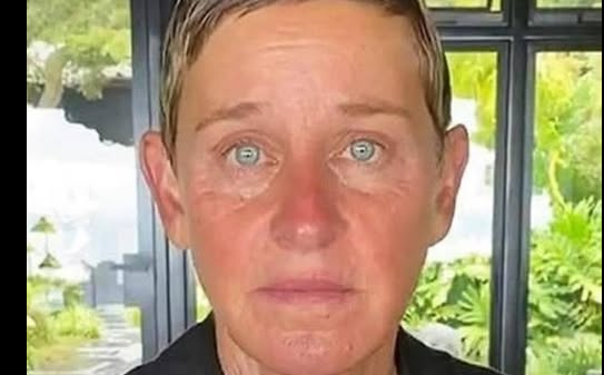 The Truth Behind Ellen DeGeneres and Portia de Rossi’s Decision to Leave the USA for a New Life Abroad