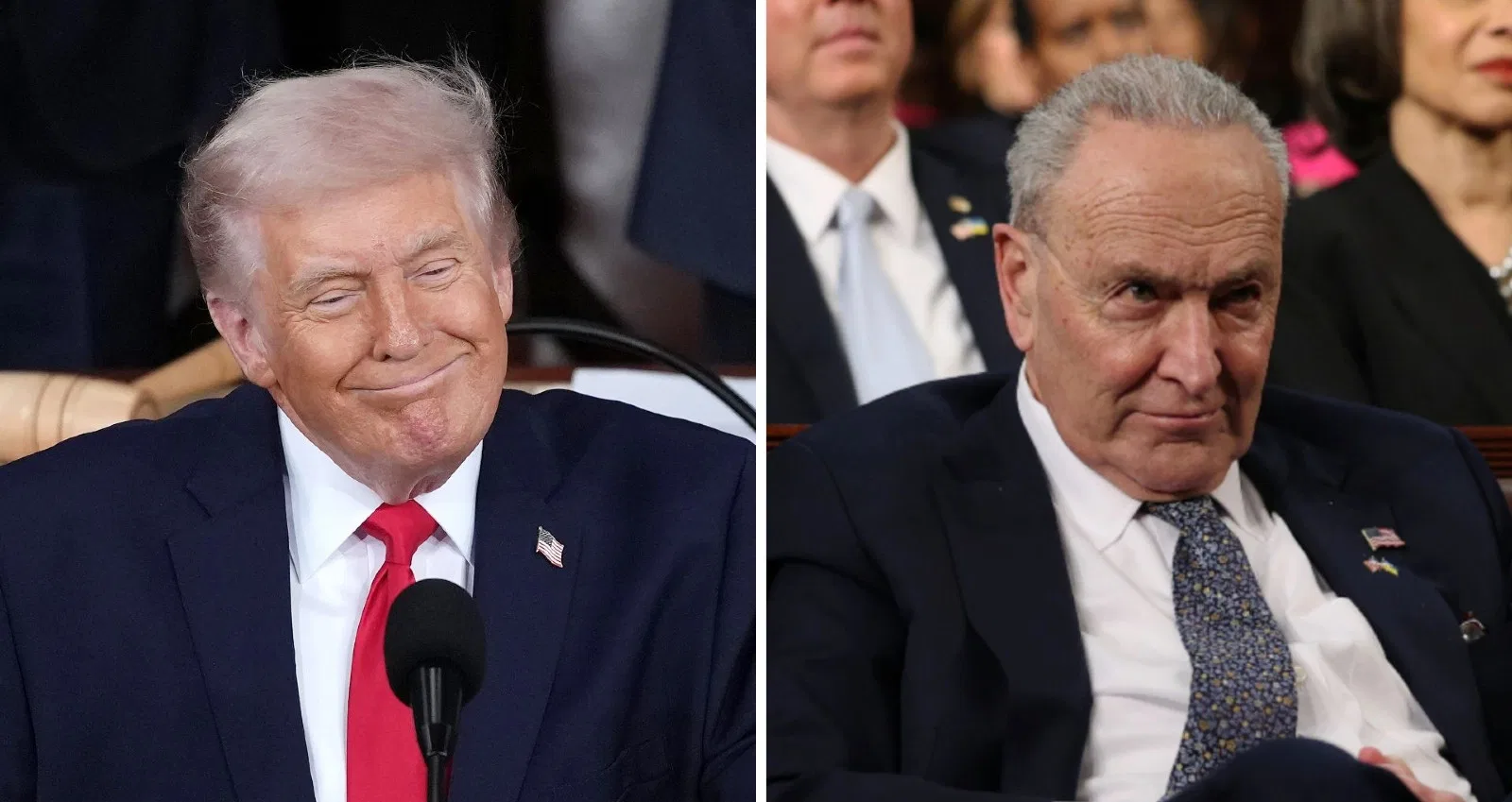 Trump, GOP Pull Off Brilliant Move After DHS Shutdown Breakthrough