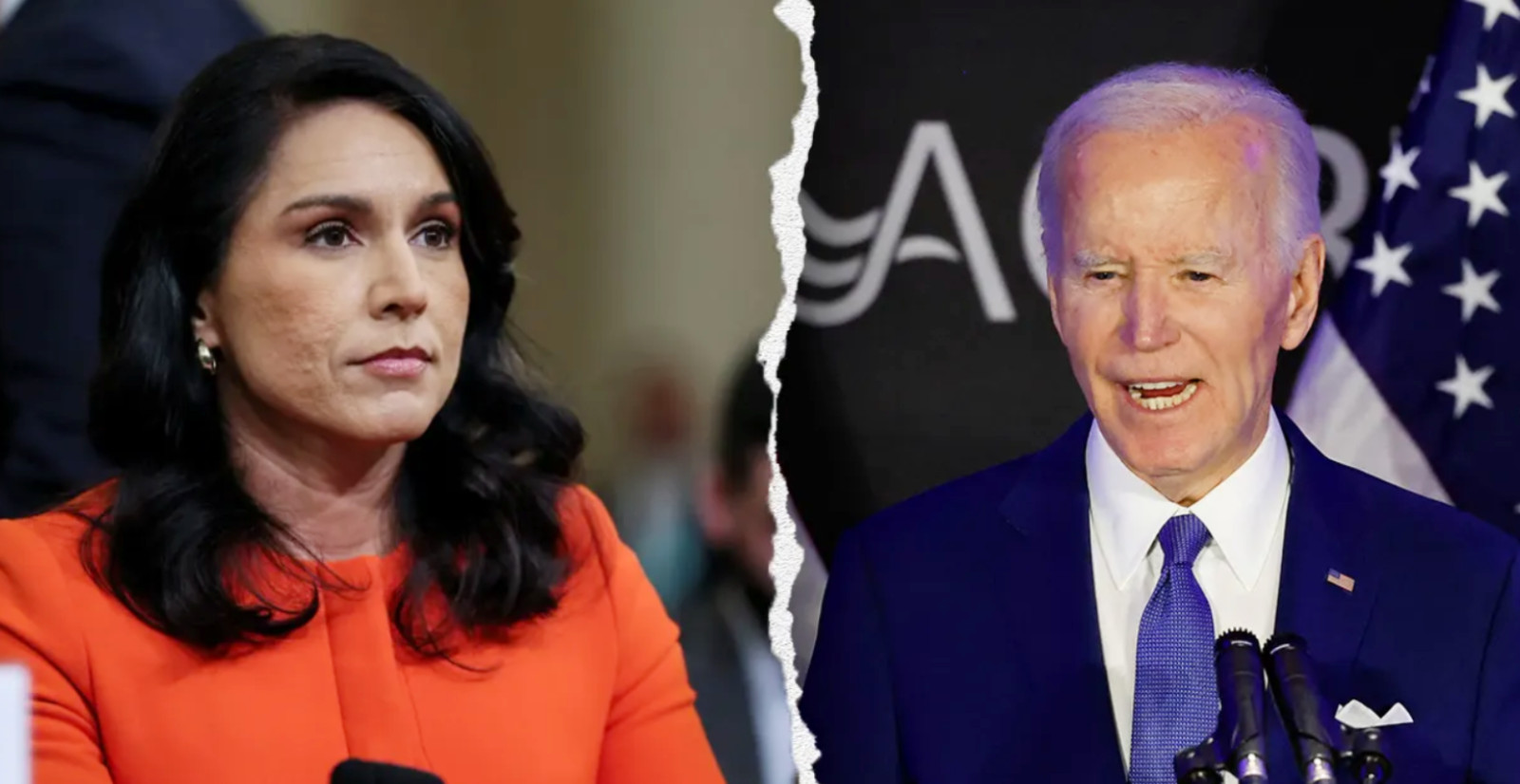Director of National Intelligence Tulsi Gabbard Found The “Smoking Gun’ — Gabbard Has Just Revealed a Plot to Divert…
