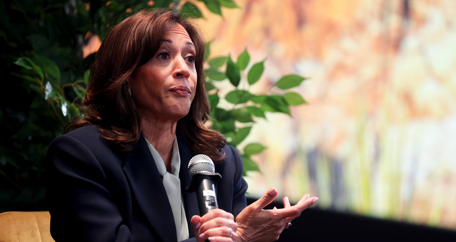 BREAKING / Kamala Harris Floats Packing SCOTUS, Gutting Electoral College in ‘No Bad Idea’ Brainstorm